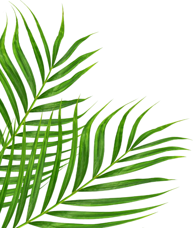 leaf left