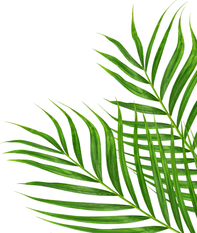 leaf right