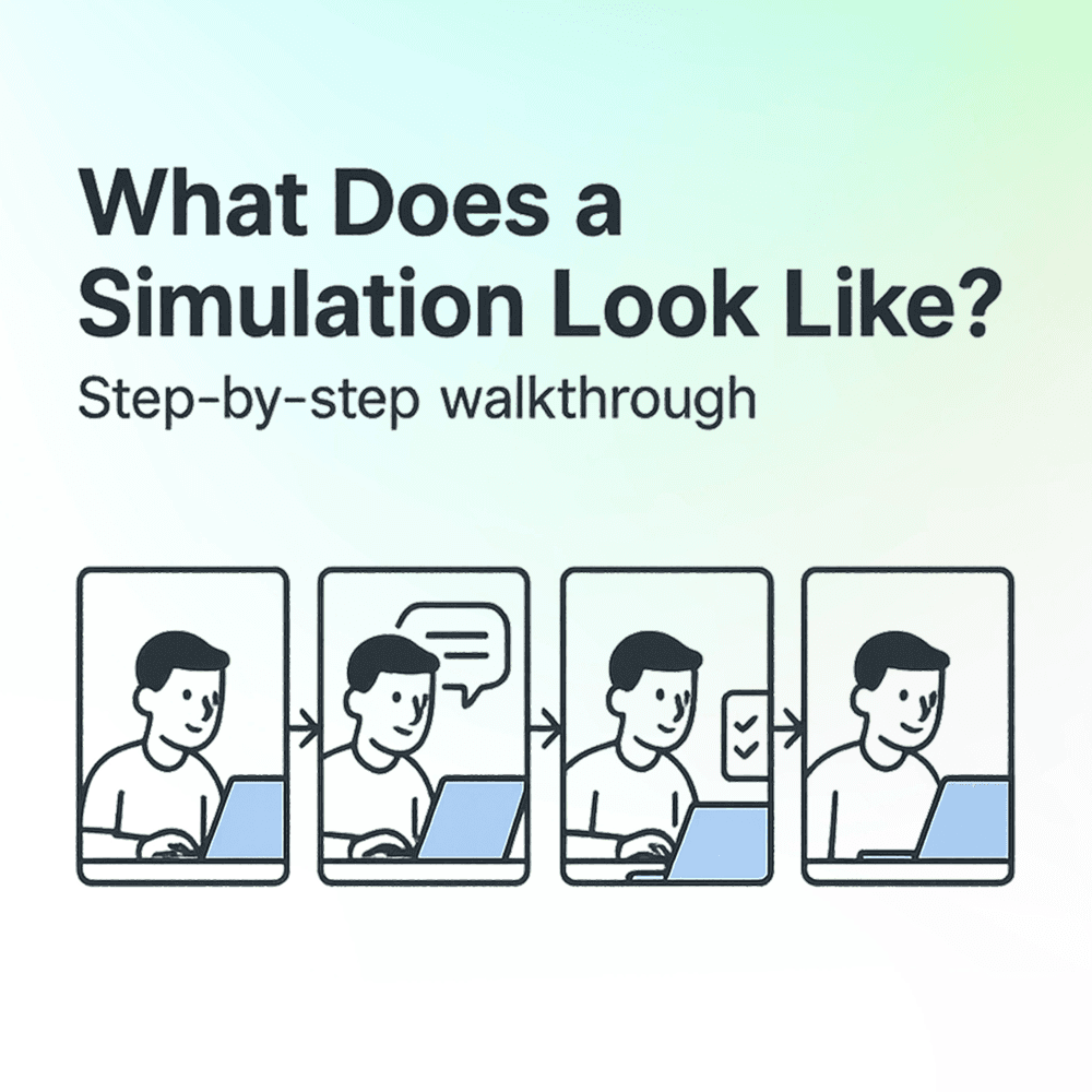 What Does a Simulation Look Like?
